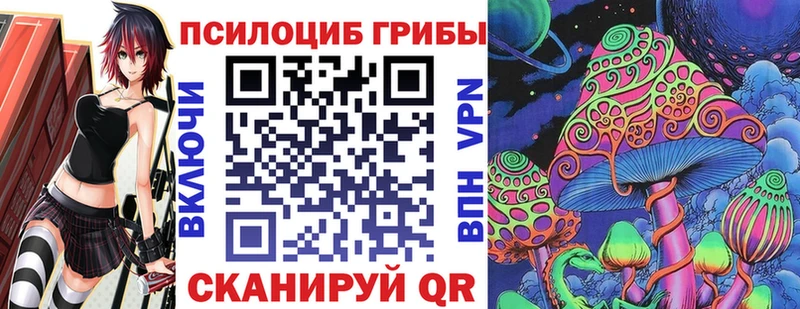 Галлюциногенные грибы Psilocybe  Саяногорск 